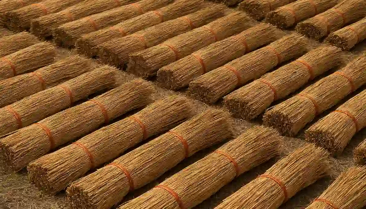 Close up of thatched roof reed material showing natural texture and wire netting